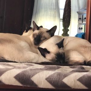 Meet your Posher, Wendy